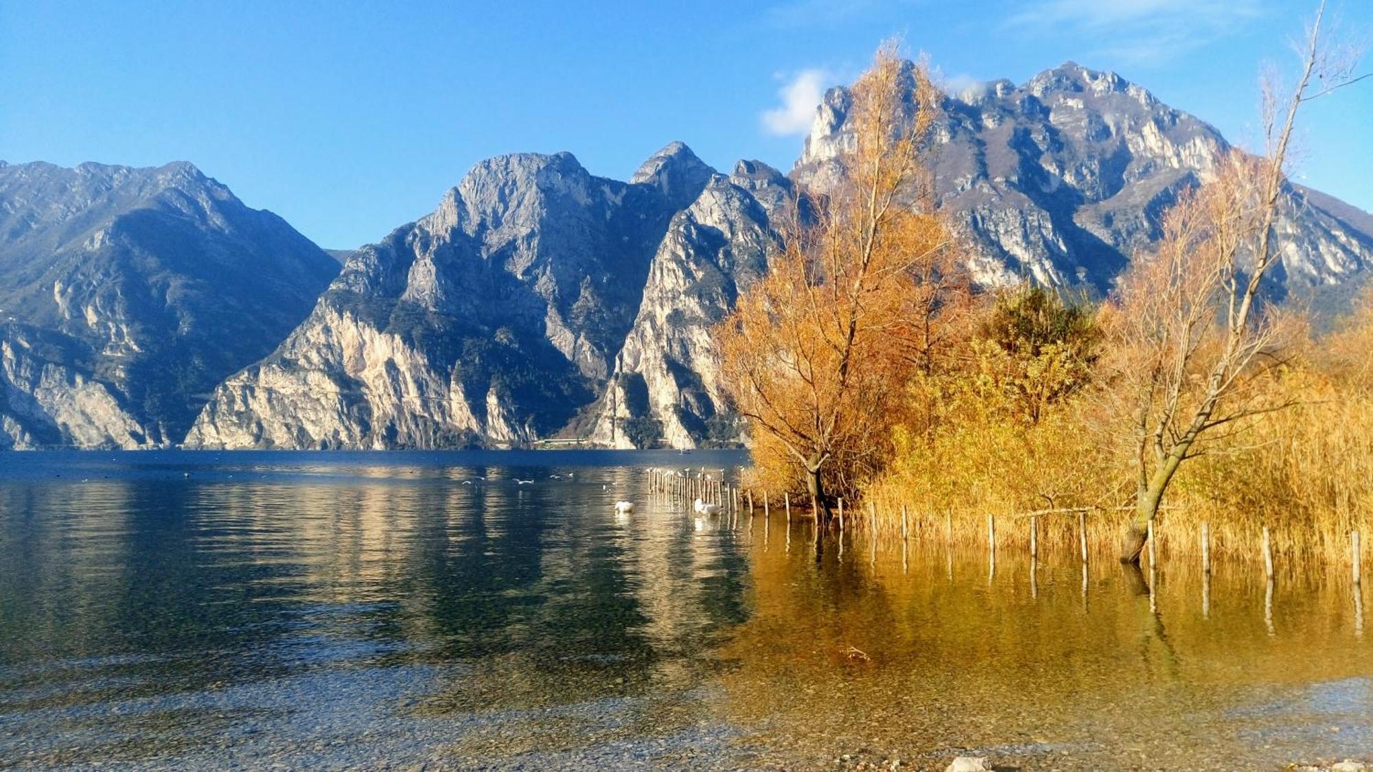 Casa Fiorella Torbole Sul Garda Dış mekan fotoğraf